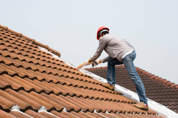 Best Skylight Installation and Repair  in Falling Water, TN